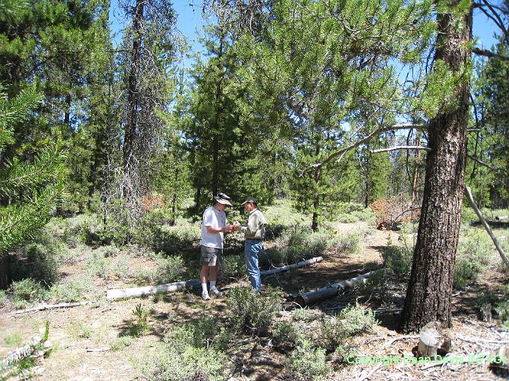 Picture 001.jpg - N7DS Jeff and NE7D Rock Putting up full size loop in trees